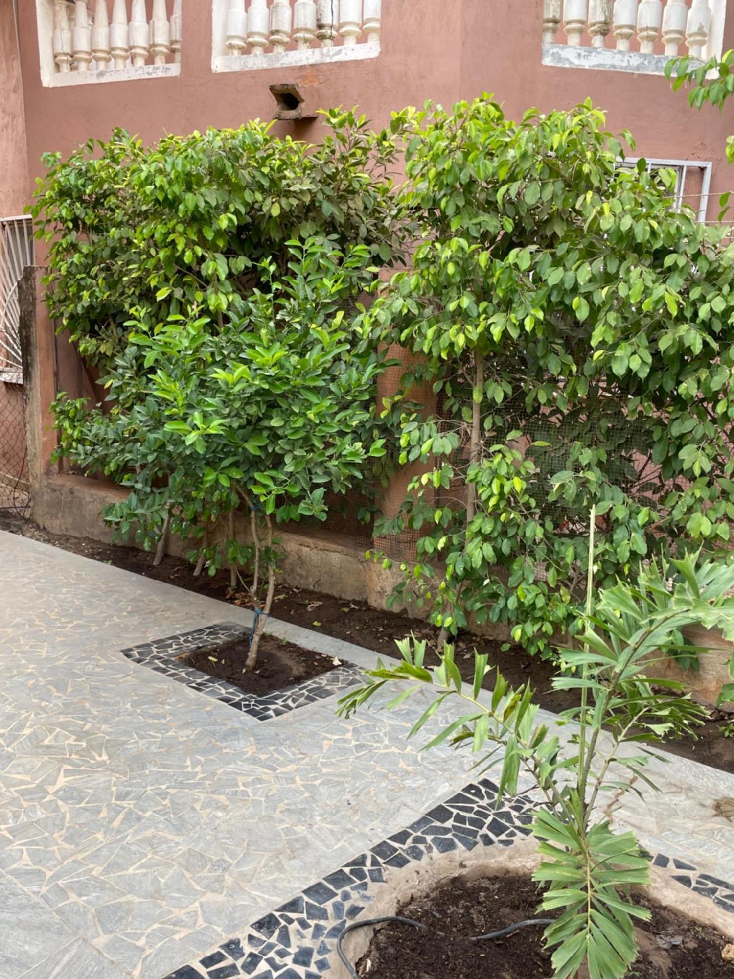 Villa18 Safari Village Saly エクステリア 写真